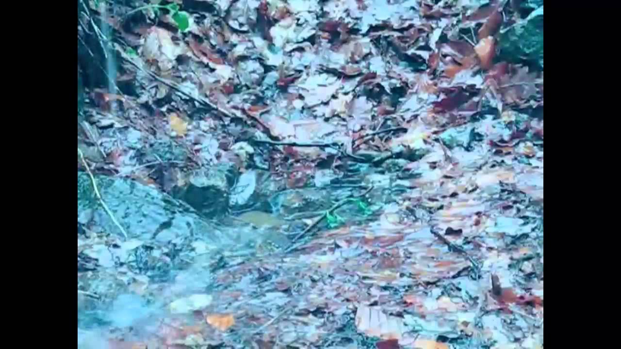 Liquid Soul – Wassermusik – „Die Regenmacher“  – Musik mit Wasser