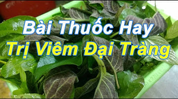 Bài Thuốc Hay: Trị Viêm Đại Tràng Bằng Lá Mơ Lông - MẸO CẦN BIẾT MCB