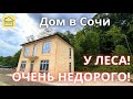 ТИХОЕ РОВНОЕ МЕСТО У ЛЕСА! Купить дом в Сочи с НЕРЕАЛЬНОЙ скидкой! Недвижимость Сочи