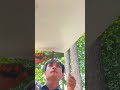 IP Hikvision Color 24h camera #hikvision #cctv #ipcamera