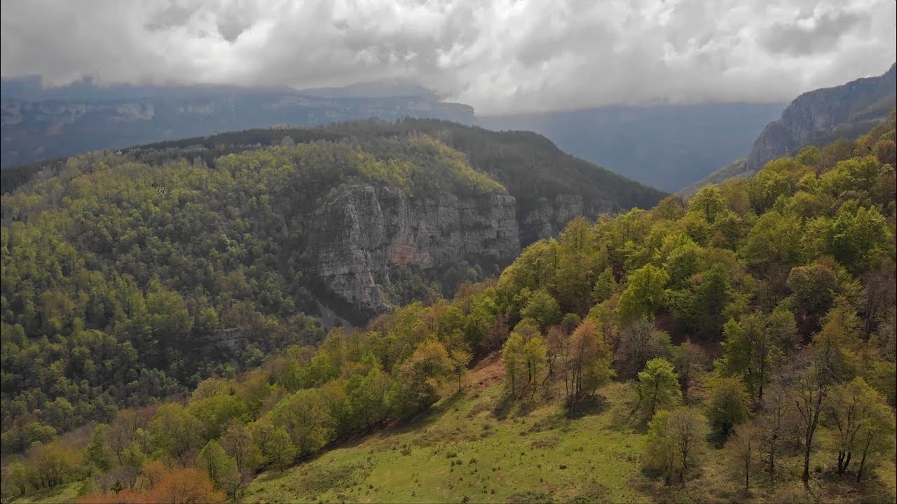 réserve naturelle de l'estuaire de la seine Vercors Vie Sauvage - Le projet continue !