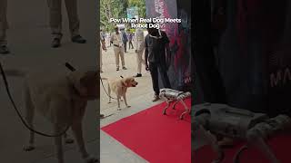 POV: When a real dog meets a robot dog 🤖🐶