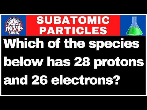 Which of the species below has 28 protons and 26 electrons?