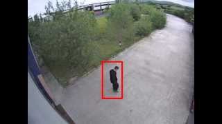 Cam 2 20130704 144048 0