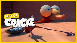 CRACKÉ - BENDY BIRD | Cartoon Animation | Compilation