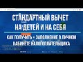 Вычет на детей и стандартный вычет на себя в личном кабинете: заполнение декларации 3-НДФЛ