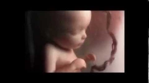 مراحل خلق الانسان آيات بصوت عبد الباسط عبد الصمد