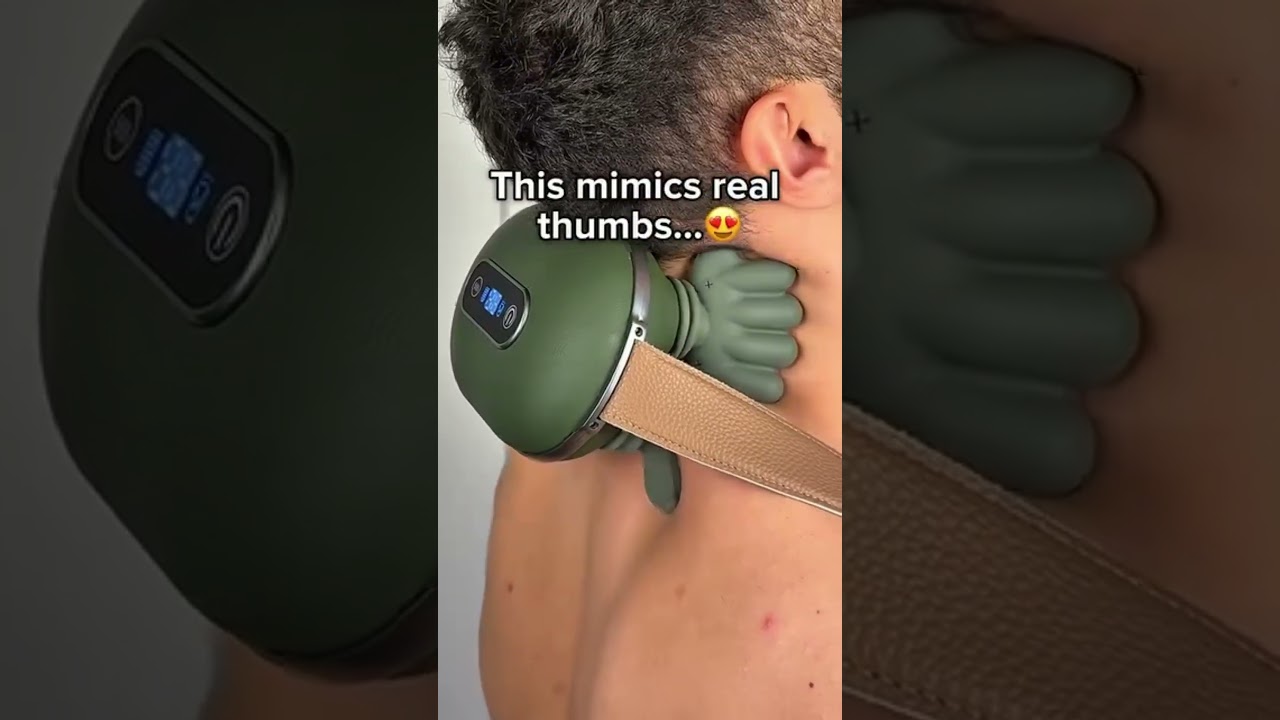Shoulder and Neck Massager (Fz-831)