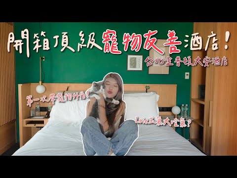 開箱東區頂級金普頓酒店！寵物友善竟然可以隨地走動？！｜廖廖好辣