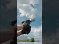 У тебя есть всего 1,5 секунды на спасение #fpvdrone #военныетехнологии #война