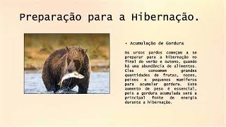 Bioquimica Web 2 Video