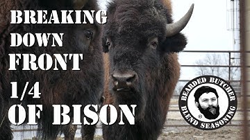 How to Cut a Front Quarter of Bison! (Part 1) by the Bearded Butchers