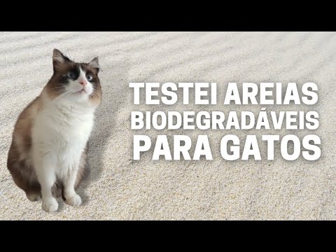 Vídeo: O que causa os gatos malhados?