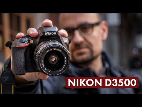 Â¿La mejor cÃ¡mara por 500 â‚¬? Nikon D3500: anÃ¡lisis en espaÃ±ol