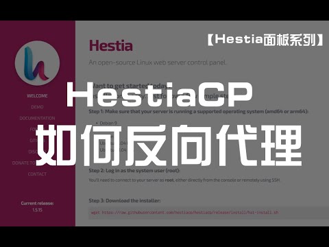 【HestiaCP面板系列】HestiaCP 如何反向代理其他网站？