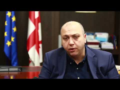 რიკოთის საუღელტეხილო მონაკვეთზე უკვე მე-6 ახალი გვირაბი გაიჭრა