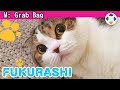 My Feline Friend, Fukurashi [Grab Bag]
