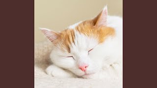 Gentle Paws Ambient Symphony for Cats