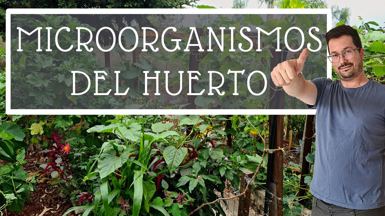 Lo que NO SABES sobre los MICROORGANISMOS del HUERTO 🔬🦠