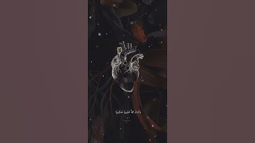 قرآن كريم بصوت يريح القلب ويزيل الهم اللهم اجعل القرآن ربيع قلوبنا وشفيعنا يوم أن نلقاك ياكريم🤲