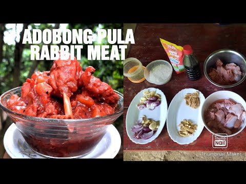 ADOBO vlog 31:Adobong pula na rabbit||Bantay vlog||AnngieleeMayTV - YouTube