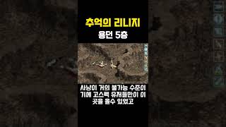 추억의리니지 용던5층 #리니지 #리니지클래식 #로이서버