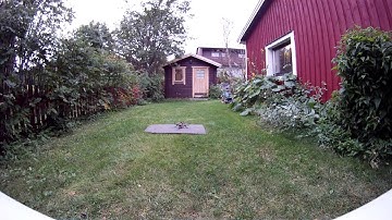 MiniQuad First flight