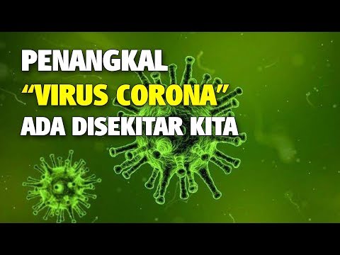 virus-corona-menyebar,-ternyata-penangkalnya-makanan-yang-ada-di-sekitar-kita