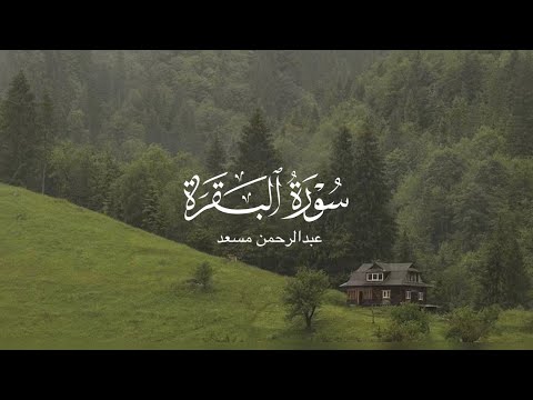 سورة البقرة عبدالرحمن مسعد