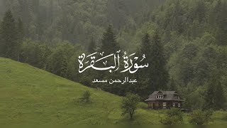 سورة البقرة | عبدالرحمن مسعد 🕯️