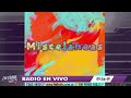 Fm Fénix 100.3 #FmFenixMartinez