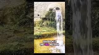 Valores del campo que mejorarían nuestras vidas y hemos olvidado #Galicia #valores #campo# rural