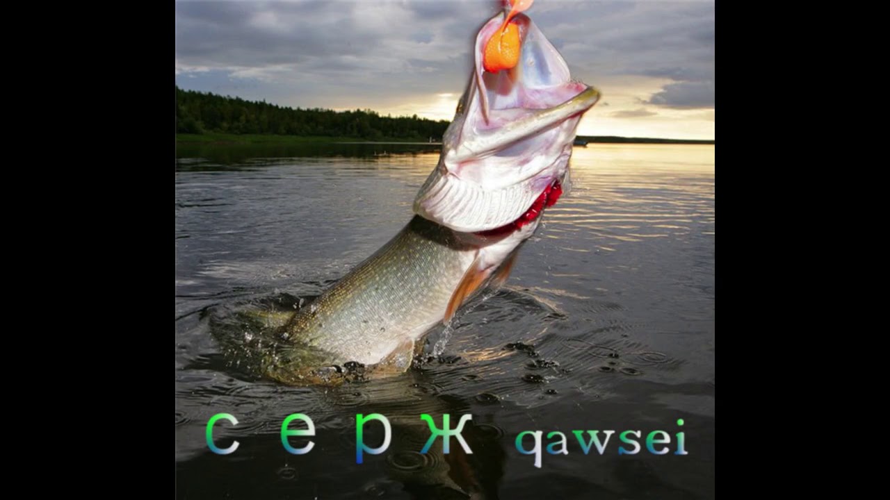 Щука на берегу фото. Щука. Ловля щуки. Рыбалка на щуку. Щука осенью