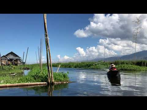 Видео: Плаващите градини Xochimilco на Мексико Сити