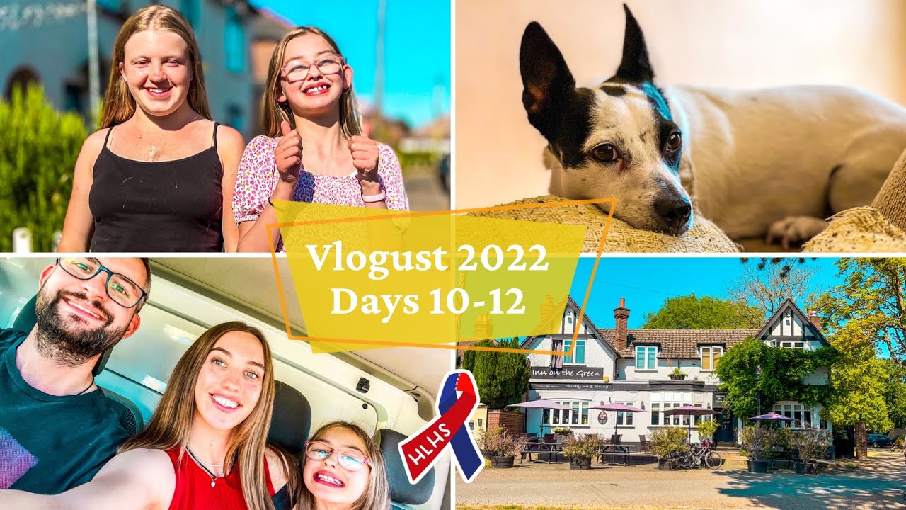 Dog sitting, HLHS meet up, and hunting down costumes! Vlogust days 10