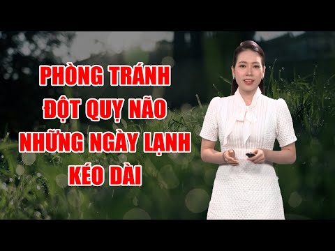 Bản tin thời tiết 25/12: Phòng tránh đột quỵ não những ngày lạnh kéo dài | PTQ