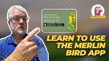 Hoe de Merlin Bird ID-app te gebruiken (stap-voor-stap voor beginners)