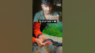 🐍 नाग देवता का चमत्कार | हर हर महादेव 🙏 | ज़िंदा नाग के दुर्लभ दर्शन | Shiva Bhakti Video | #shorts