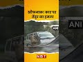 Leopard attack on car assam       live shorts