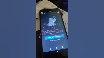 pinephone running waydroid