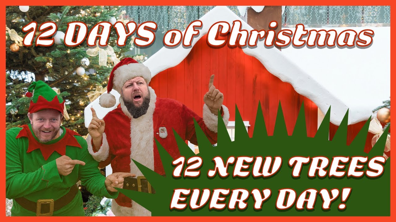 🎄 MrMaple's 12 Trees of Christmas 🎄 — Mr Maple │ Buy Japanese