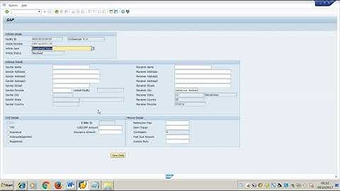 VP Article data entry ZART UPLOADDOP CSI SAP Application