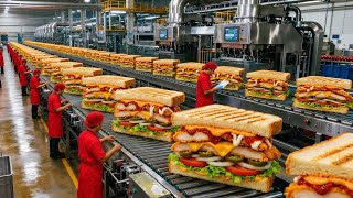 Inside a Massive Spicy Sandwich Factory Complete Industrial Production Proces from Fresh Ingredients