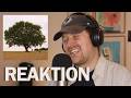 APHACA VILD UNGDOM REAKTION