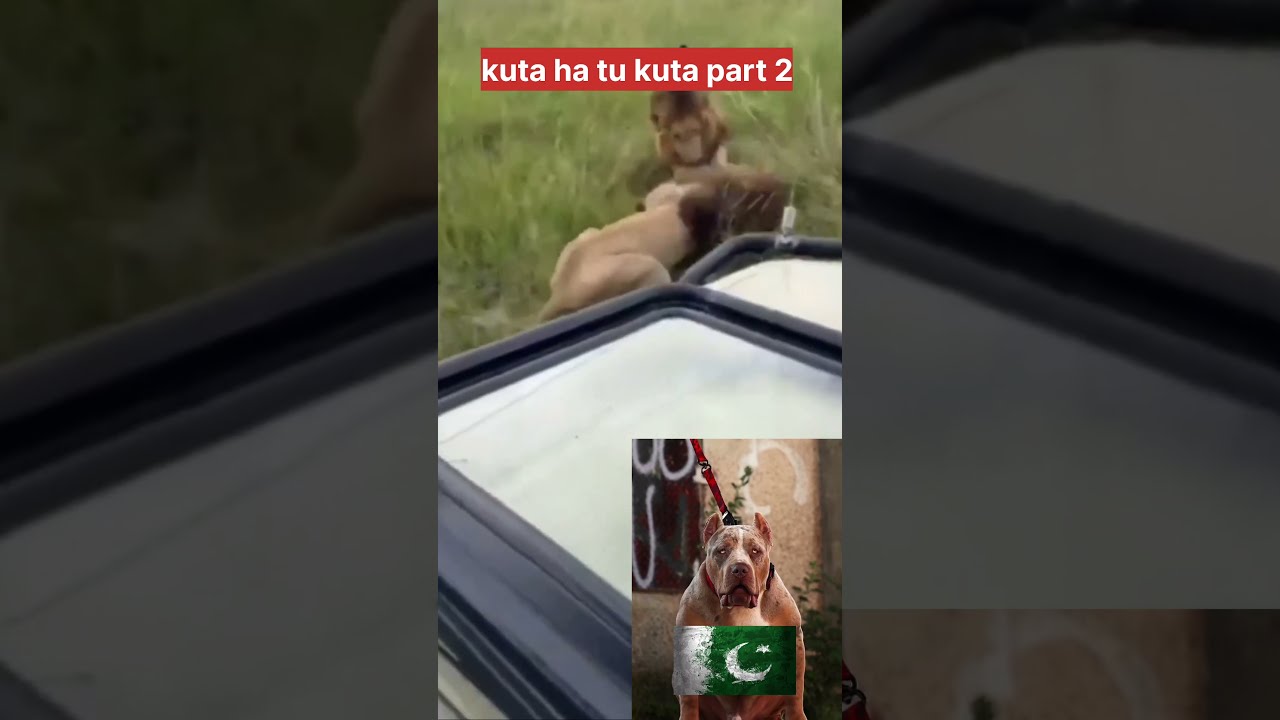 Ghatak Danny DenzongpaNew viral TakaTak videos  kutta hai tu kutta  takatak New viral reel  kpt2