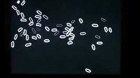 Chris Sugrue "Delicate Boudaries"