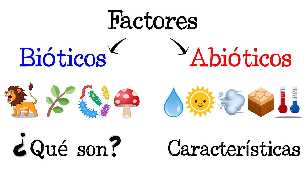 🐝 Factores Bióticos y Abióticos de los Ecosistemas 🌿 [Fácil y Rápido] |  BIOLOGÍA | - thptnganamst.edu.vn