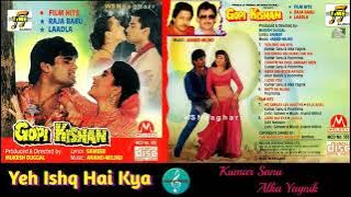 Yeh Ishq Hai Kya/Kumar Sanu & Alka Yagnik/Gopi Kishan(1994)/Beautiful Love song/Original CD Rip