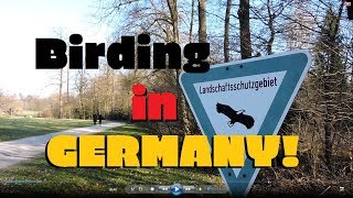 Download Lagu BIRDING IN GERMANY!!! The Bird Bros. Ep. 50 MP3