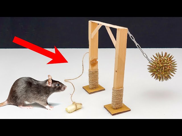 Fabriquer un piège à rats PUISSANT comme au Moyen-Age 😲🐀 